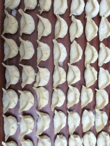 Teigtaschen Dim Sum