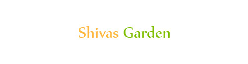 Shivas Garden Indisches Restaurant