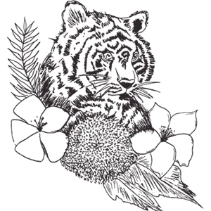 Silver Tiger Spa Cologne