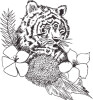 Bild: Silver Tiger Spa Cologne