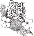 Bild: Silver Tiger Spa Cologne in Köln
