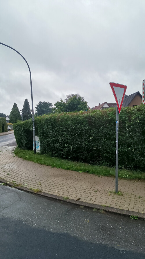 1000280141.jpg