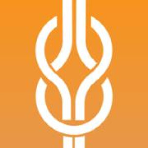 Logo Skan-Chiropraktik Hamburg