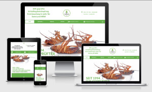 Webdesign - https://nicolin-sbk.de/