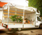 planensprinter-hebebuehne-baum