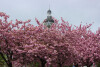 Bild: Spektrum Bildungsverein E.V.
