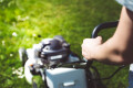 Bild: Staatl. Lehr- und Versuchsanstalt für Gartenbau in Heidelberg, Neckar