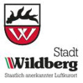 Stadt Wildberg