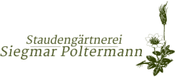 Staudengärtnerei Siegmar Poltermann