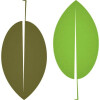 Bild: Stefan Kremer Blumenbetrieb