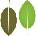 Logo Kremer, Stefan