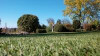 Bild: Stegemann Garten- und Landschaftsbau