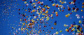 Logo Stender Kindergarten- u. Schulartikelservice GmbH