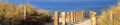 Logo Strandhafer Aparthotel