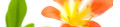 Logo Radlow, Susanne