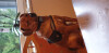 Bild: Tamaras Pfotentreff Hundesalon