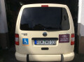 Bild: Taxi-Wilding in Winnweiler