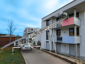 Firefly 20231016120615.jpg