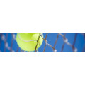 Tennis-Stüble Holzheim