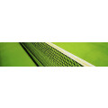 Tennisclub Hohenhorst e.V. Recklinghausen