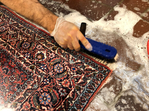 Teppichreinigung5.jpg