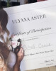 Bild: ThePerfection