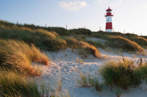Therapie-Insel