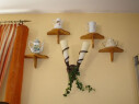 https://www.yelp.com/biz/cafe-k%C3%A4nnle-karlsruhe