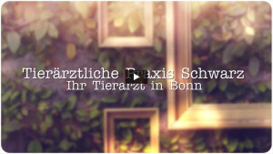 Tierärztlichen Praxis Schwarz