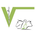 Bild: Tierarztpraxis Fischelbach Dr. med. vet. Sabrina Grebe in Bad Laasphe