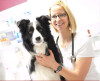 Bild: Tierarztpraxis Kerstin Büttner