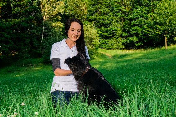 Training in der Hundephysiotherapie Dresden