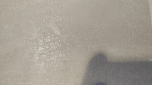 IMG_20220121_123123.jpg
