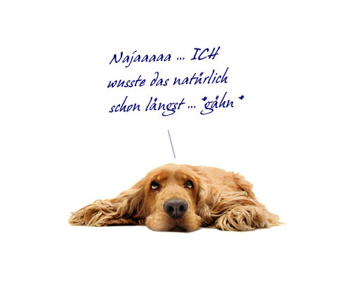 hundefreundliche eingezäunte Domizile