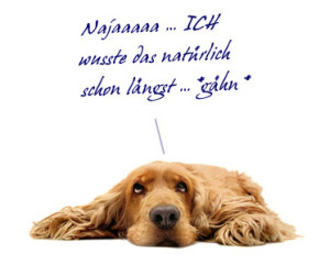 hundefreundliche eingezäunte Domizile