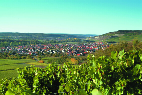Würzburger Land - Thüngersheim