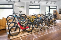 fiido c21 - leichtes gravel e bike Fiido C21