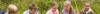 Bild: TriAngel Birgit Yvonne Hamisch