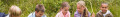 Logo TriAngel Birgit Yvonne Hamisch