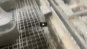 Snapchat-518483027.mp4