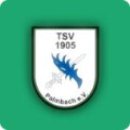 TSV Palmbach