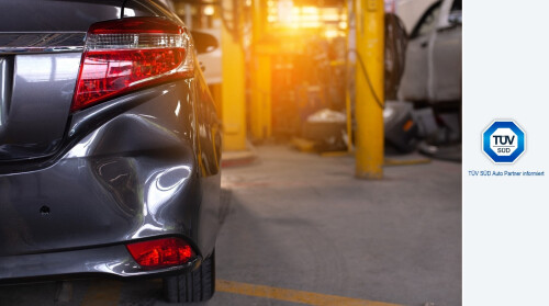SuW-header.jpg