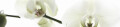 Logo U.Eickhoff