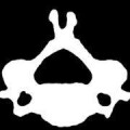 Logo Bohlen, Ulrike