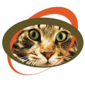 Logo Reyes, Ursula