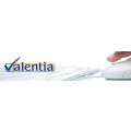 Valentia GmbH IT-Beratung