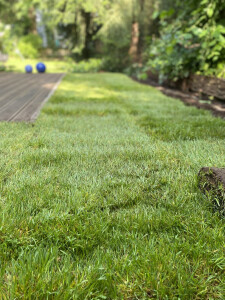 IMG_5890.JPEG