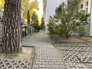 IMG_7548.JPEG