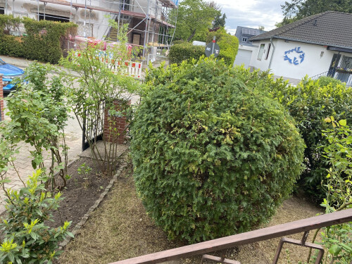 IMG_4589 (1).JPEG
