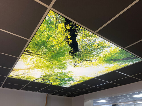 Spanndecke Motiv Wald